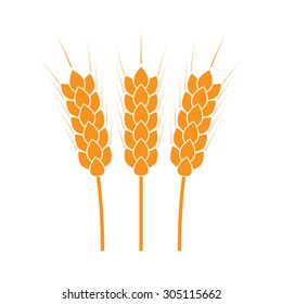 Wheat ears or rice icon. Agricultural and crop symbols isolated on white background. Design element for bread packaging or beer label. Colorful vector illustration.