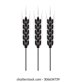 Wheat ears or rice icon. Agricultural and crop symbols isolated on white background. Design element for bread packaging or beer label. Vector illustration.