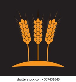 Wheat ears or rice icon. Agricultural and crop symbols isolated on black background. Design element for bread packaging or beer label. Vector illustration.