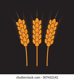 Wheat ears or rice icon. Agricultural and crop symbols isolated on dark background. Design element for bread packaging or beer label. Vector illustration.