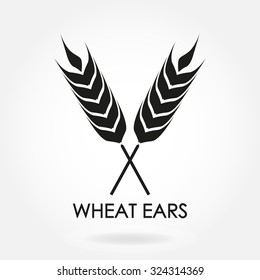 Wheat ears or rice icon. Crop, barley or rye symbol isolated on white background. Design element for beer label or bread packaging. Vector illustration.