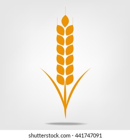Wheat ears or rice icon. Crop, barley or rye symbol isolated on white background. Design element for beer label or bread packaging. Vector illustration.