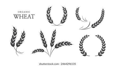 Wheat ears or rice icon. paddy wheat. laurel wreath icon. Vector illustration