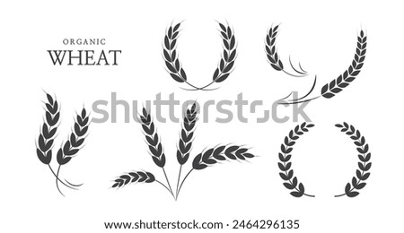 Wheat ears or rice icon. paddy wheat. laurel wreath icon. Vector illustration