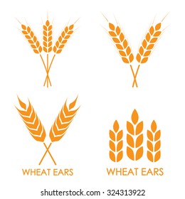 Wheat ears or rice icon set. Crop, barley or rye symbols isolated on white background. Design elements for bread packaging or beer labels. Vector illustration.