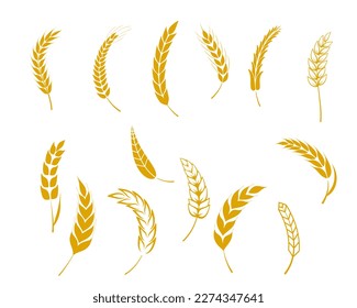 Wheat ears or rice icons set. Agricultural symbols isolated on white background. Design elements for bread packaging or beer labels.