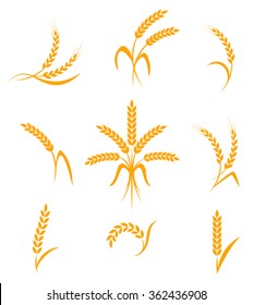 Wheat ears or rice icons set. Agricultural symbols isolated on white background. Design elements for bread packaging or beer label. Vector illustration.