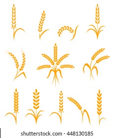 Wheat ears or rice icons set. Agricultural symbols isolated on white background. Design elements for bread packaging or beer label. Vector illustration.