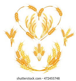 Wheat ears or rice icons set. Agricultural wheat spikelets symbols isolated on white background. Organic farm agriculture crop seed bread packaging or beer label. Vector wheat spikelets.