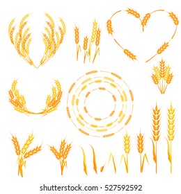 Wheat ears or rice icons set. Agricultural wheat spikelets symbols isolated on white background. Organic farm agriculture crop seed bread packaging or beer label. Vector wheat spikelets.