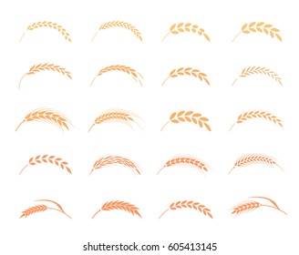 Wheat ears or rice icons set. Agricultural symbols isolated on white background. Design elements for bread packaging or beer label.