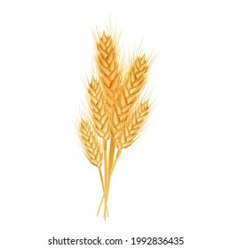 Wheat ears ripe, spikelet's and grains. Design element for organic products, bakery, farming. Isolated on white background.
Vector illustration. 