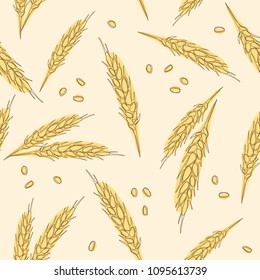 Wheat ears seamless hand drawn pattern. Malt beer background. Autumn harvest.
