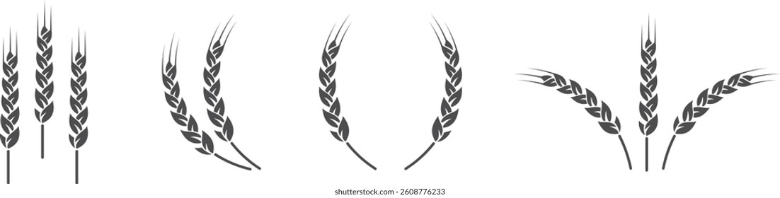 Wheat ears. Set of wheat ears in different positions. Agricultural field of wheat. Farming of grain products and bread baking.