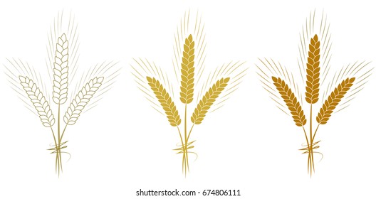 Wheat ears set isolated on white background vector illustration. Ears of wheat, barley or rye.