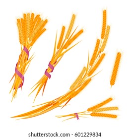 Wheat ears set with ribbons.  Colorful vector illustration.  