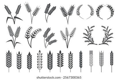 Wheat ears silhouettes. Barley ears, oat grains rice spike cereal plant spikelet black logo icons bread bakery or beer products emblems farm harvest symbol neat vector illustration original artwork