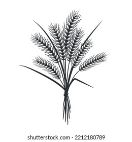 Wheat ears sketch. Hand drawn agriculture plant. Healthy food, bran for breakfast. Vector illustration