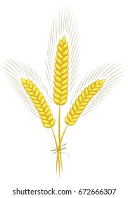 Wheat ears sketch hand drawn isolated on white background vector illustration. Ears of wheat, barley or rye.