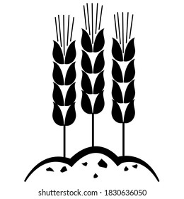Wheat ears in soil isolated icon on white background. Wheat plant silhouette vector illustration. Eco bio produce concept design.