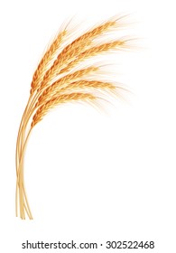 Wheat ears with space for text. EPS 10 vector file included