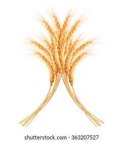 Wheat ears with space for text. EPS 10 vector file included