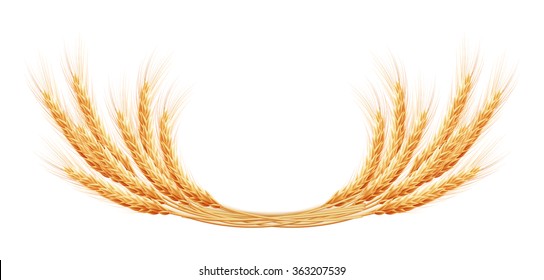 Wheat ears with space for text. EPS 10 vector file included