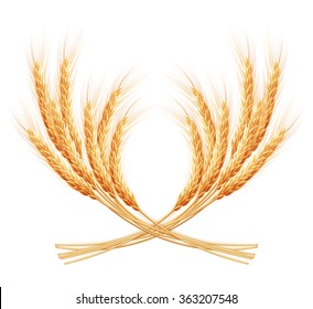 Wheat ears with space for text. EPS 10 vector file included