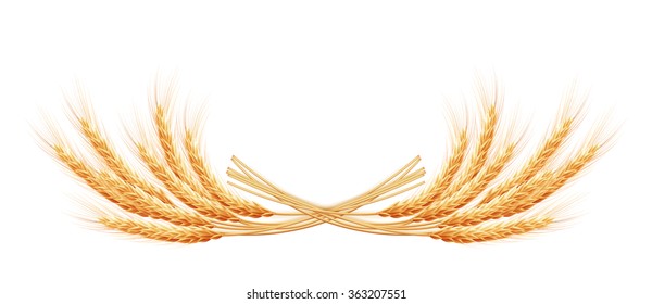 Wheat ears with space for text. EPS 10 vector file included