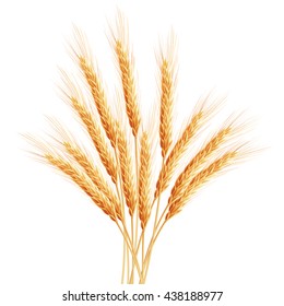 Wheat ears with space for text. EPS 10 vector file included