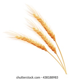 Wheat ears with space for text. EPS 10 vector file included