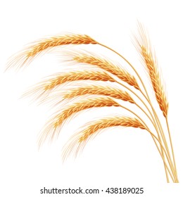 Wheat ears with space for text. EPS 10 vector file included