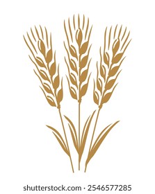 Wheat ears symbol. Drawing for bread, flour, whisky, beer label or packaging. Vector illustration