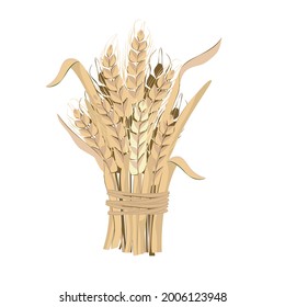 Las orejas de trigo atadas en un grupo dibujado en un estilo plano.Diseño botánico aislado en fondo blanco.Se puede usar para decorar banners, tarjetas, cubiertas y para la ilustración web.Vector.