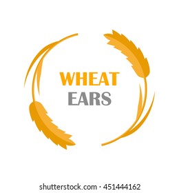 Wheat Ears vector banner in flat style design. New harvest, grain growing concept. Illustration for bakery, bread store, agricultural company logo design. Ripe ears with text on white background.   
