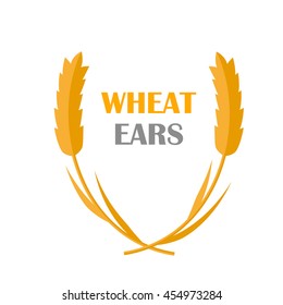 Wheat Ears vector banner in flat style design