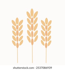 Wheat ears vector clipart. Isolated image on white background. Print for bakery, textile, t-short