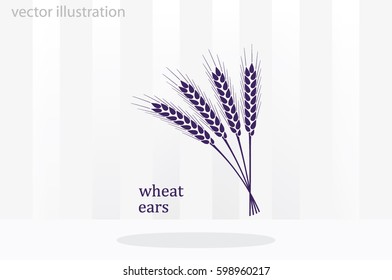 wheat ears vector icon