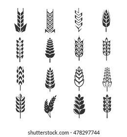 Wheat ears vector icons. Natural harvest rye and organic food illustration