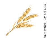Wheat ears vector illustration. Cartoon golden branch with whole cereal grains and spikes on stalk, spikelets of wheat, barley or oat in bunch, gold of organic harvest from farm field in autumn