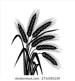 Ilustración vectorial de trigo. Gráfico de cosecha de plantas de cereales. Elemento de diseño de agricultura orgánica. Silueta de la cosecha de oro.