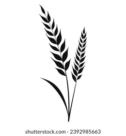 Wheat ears Vector isolated on a wHite background, A Wheat grain silhouette 