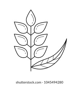 Wheat ears vector line icon isolated on white background. Ripe ears of wheat line icon for infographic, website or app.