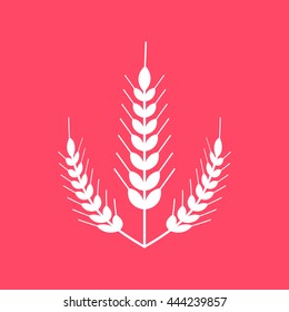 Wheat Ears white icon on magenta color background. Eps-10.