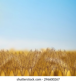 Wheat engraved style hand drawn vector illustration of autumn field on blurred background of filed landscape