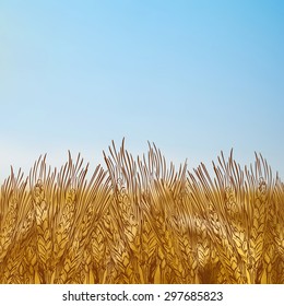 Wheat engraved style hand drawn vector illustration of autumn field on blurred background of filed landscape