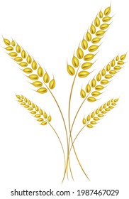 wheat farm field bread farm vector 