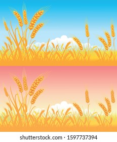 the wheat farm vector image