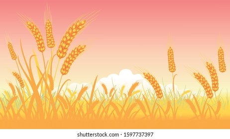 the wheat farm vector image