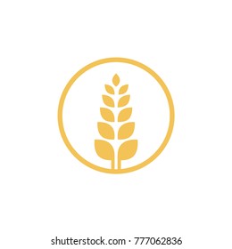 Wheat farming logo design template